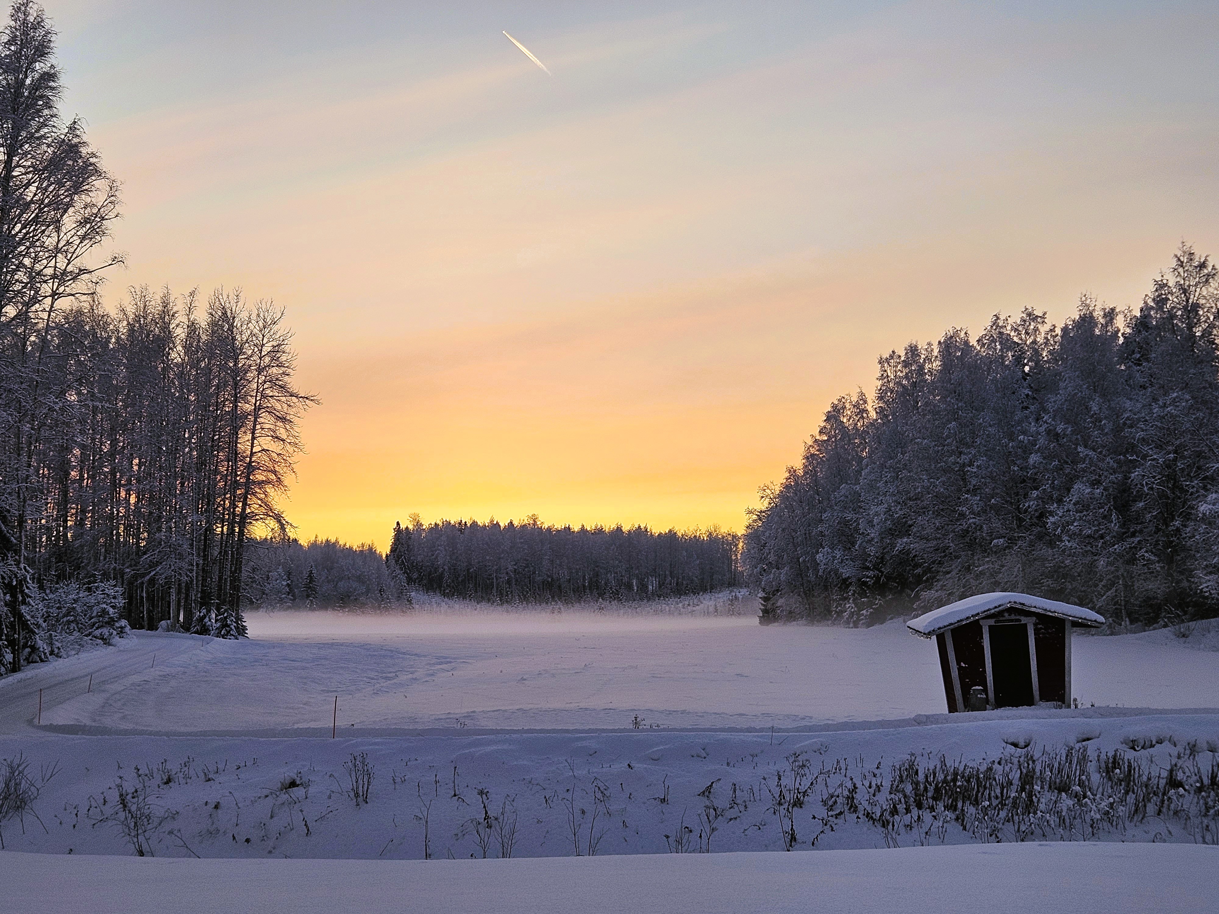 GuruShots - February 2026