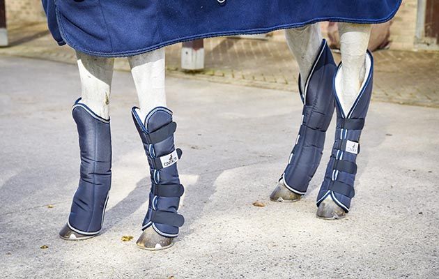 Eskadron Pro Traveller Travel Boots review