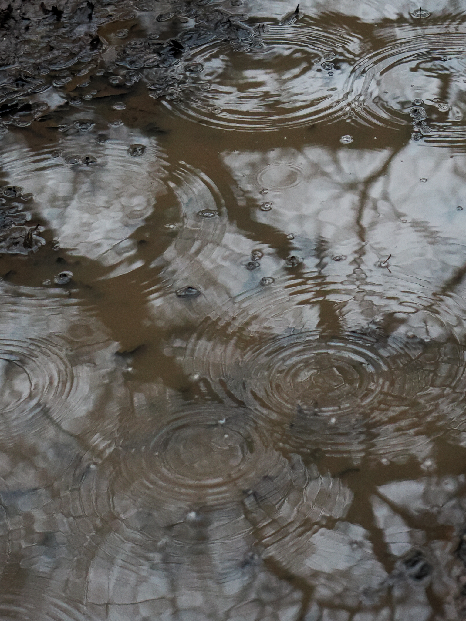 A photo taken on an OM System OM-1 Mark II Micro Four Thirds mirrorless camera