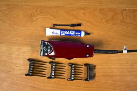 oster fast feed clipper guards