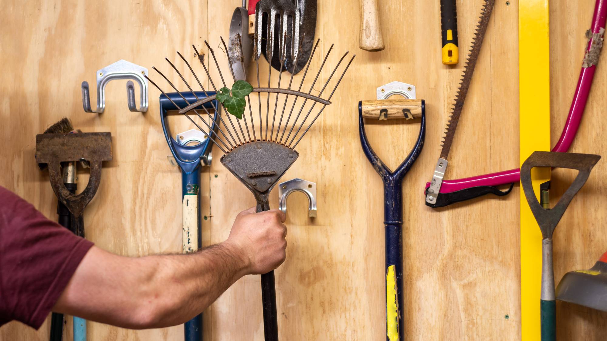 Gardener hanging up rake in shed