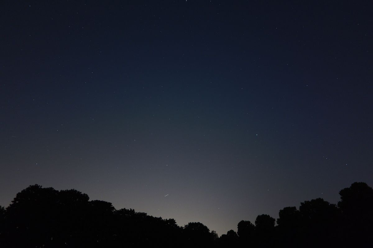 The stars with a silhouette tree line taken on the Panasonic Lumix S1RII