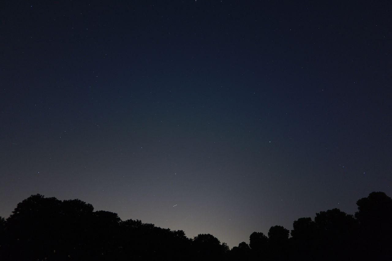 The stars with a silhouette tree line taken on the Panasonic Lumix S1RII