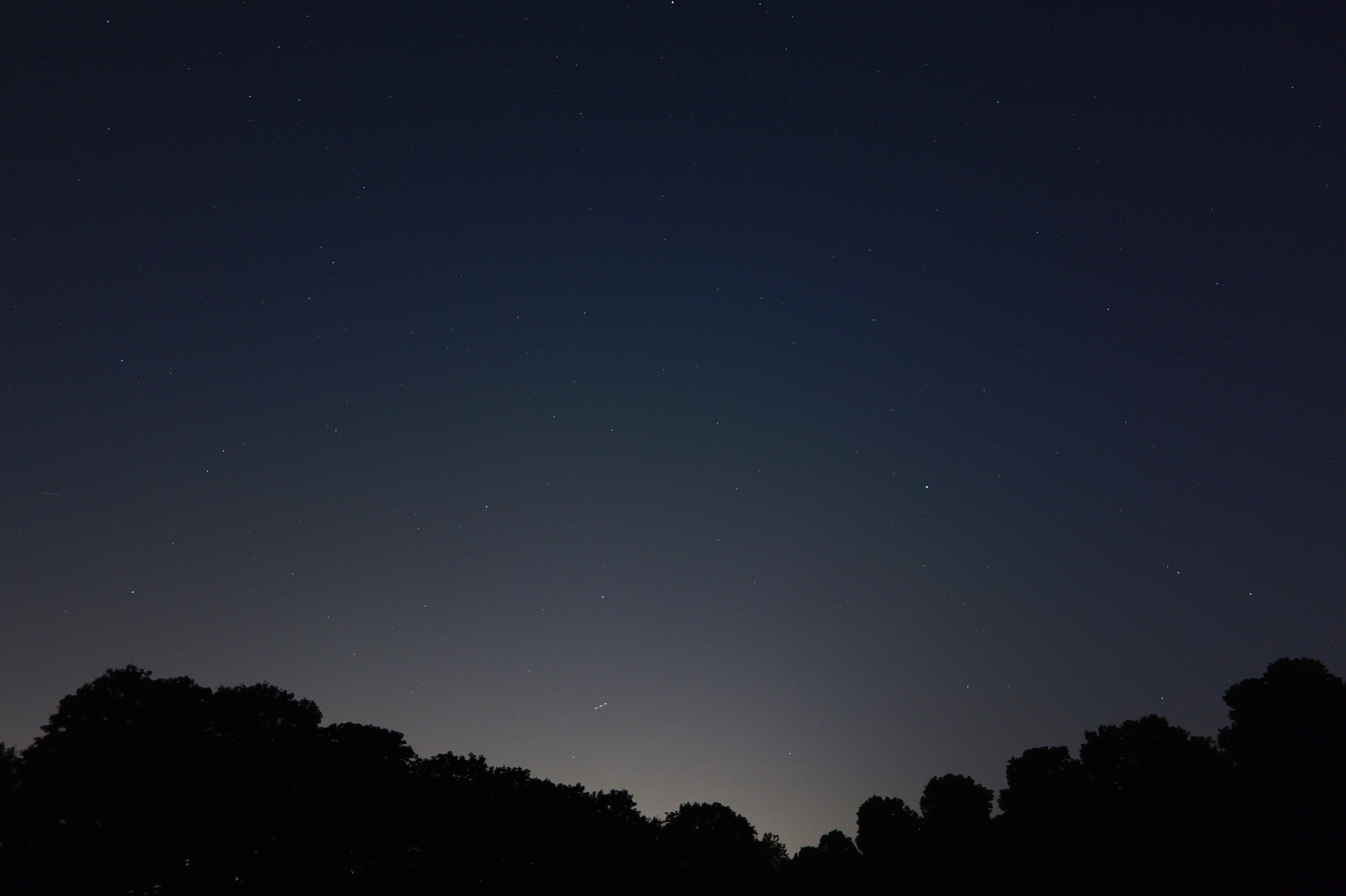 The stars with a silhouette tree line taken on the Panasonic Lumix S1RII 