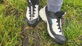 Salomon X Ultra Alpine GORE-TEX walking shoes worn by Susan Griffin in grass