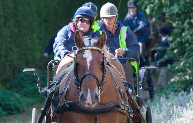 Marlborough Downs for disabled communities