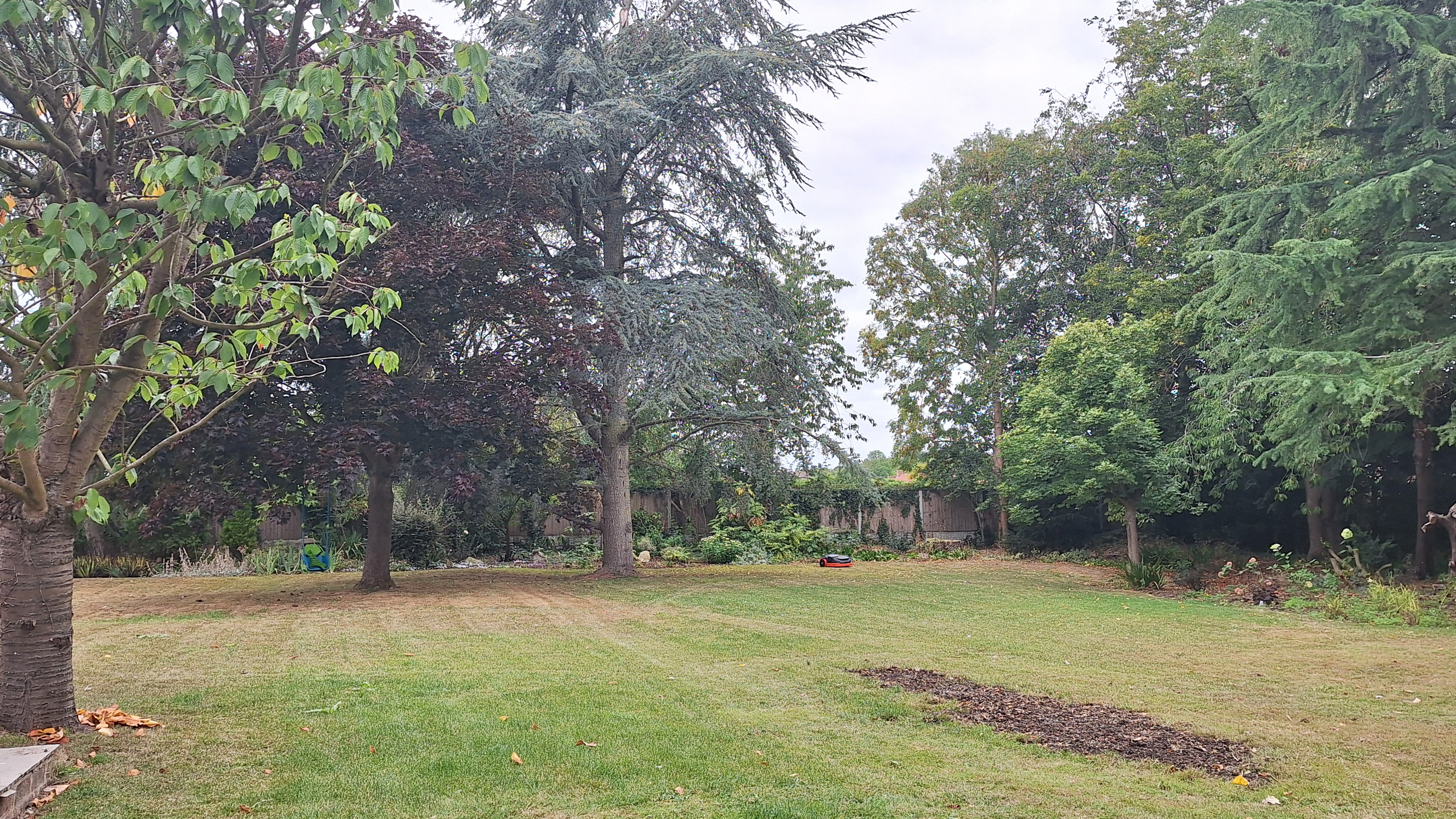 Segway Navimow X350 on reviewer&#039;s lawn