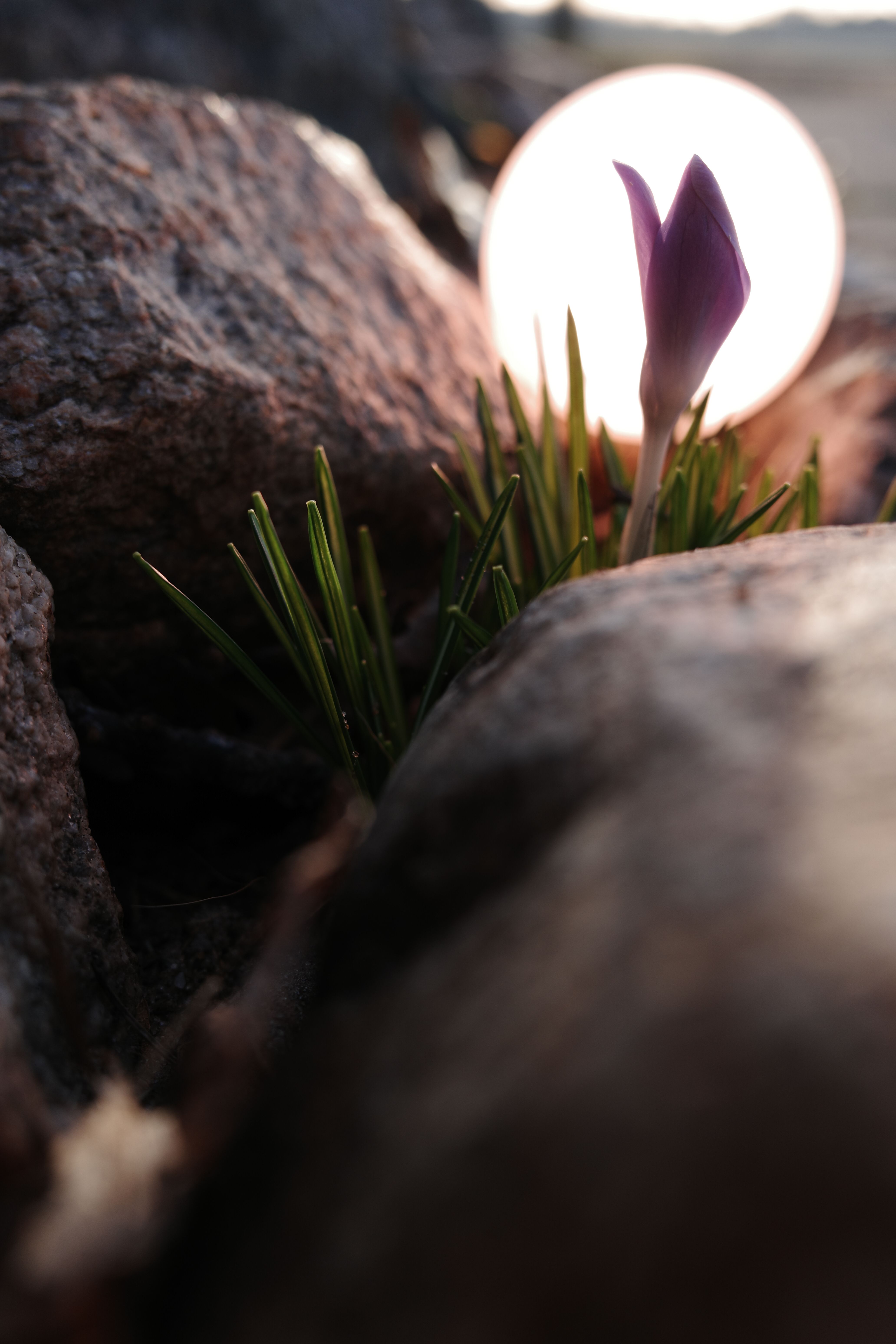 Image sample from the Ricoh GR IV HDF