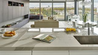 Gray Brayer Design kitchen with glazed floor to ceiling windows on two sides