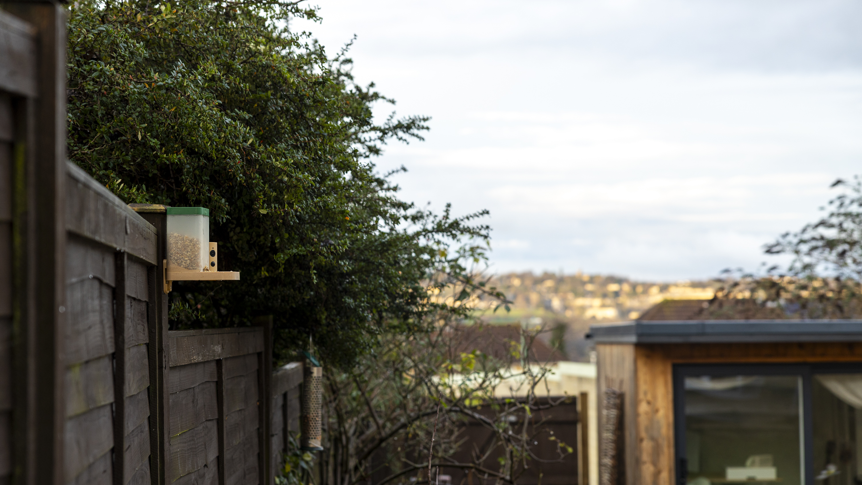 The Birdfy Rookie feeder attached to a brown fence in a UK winter garden