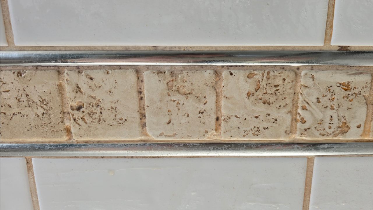 Tile grout after cleaning with Vax Steam Fresh Total Home