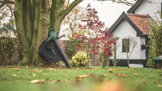 Best leaf blowers, leaf suckers, leaf Best Garden Vacuum & Leaf Blower