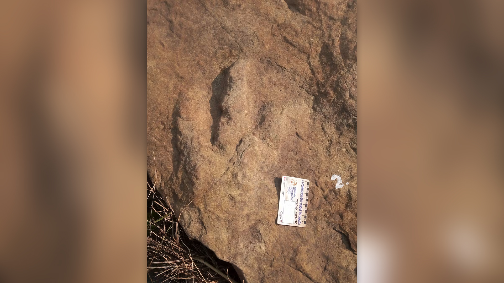 Amprenta de dinozaur în formațiunea Clarens, lângă granița dintre Africa de Sud și Lesotho.