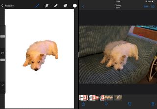 iPad screenshot of a dog being cut out of an image one one side and the same dog on the other