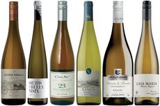 South American Rieslings