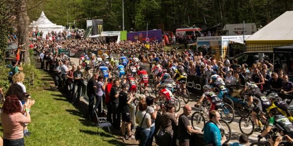 A look at the start from behind