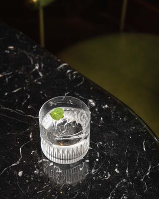 Clear cocktail in a glass with a green leaf