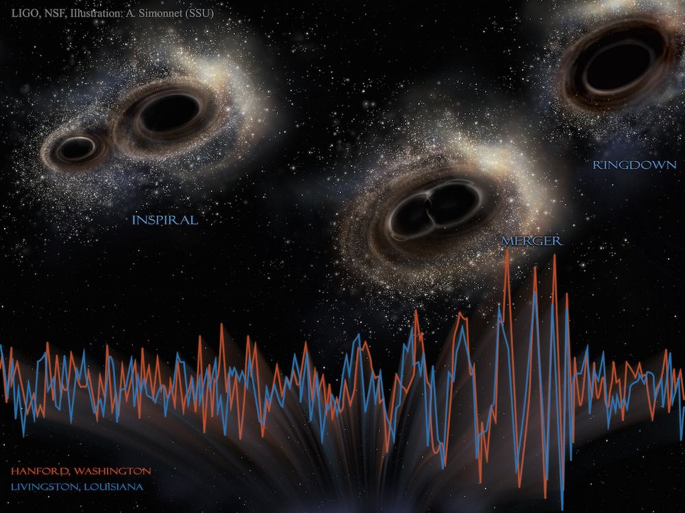 merger of two black holes from ligo data