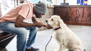 Man and dog