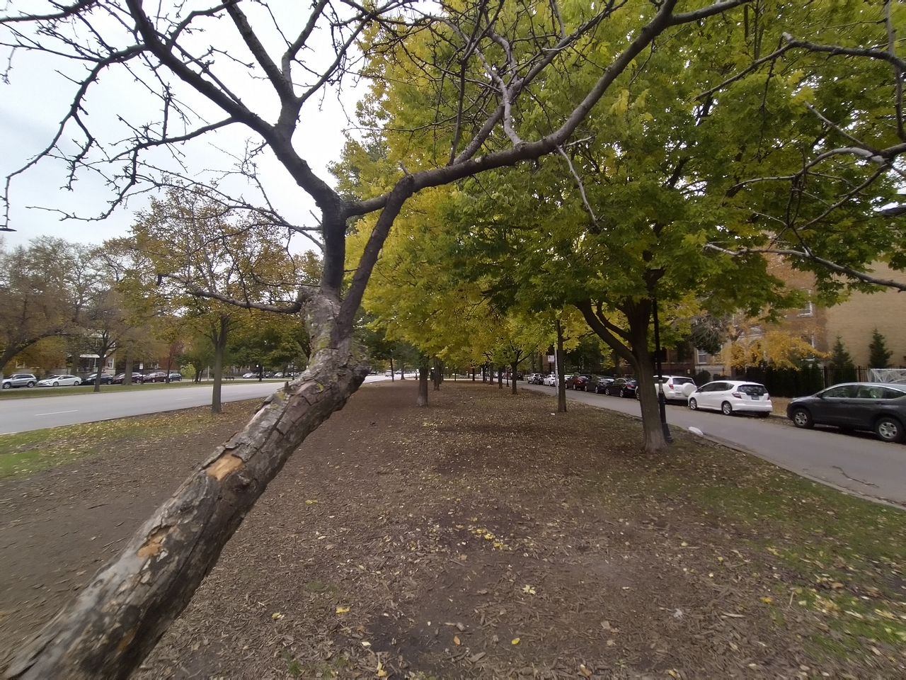 Another wide-angle example.