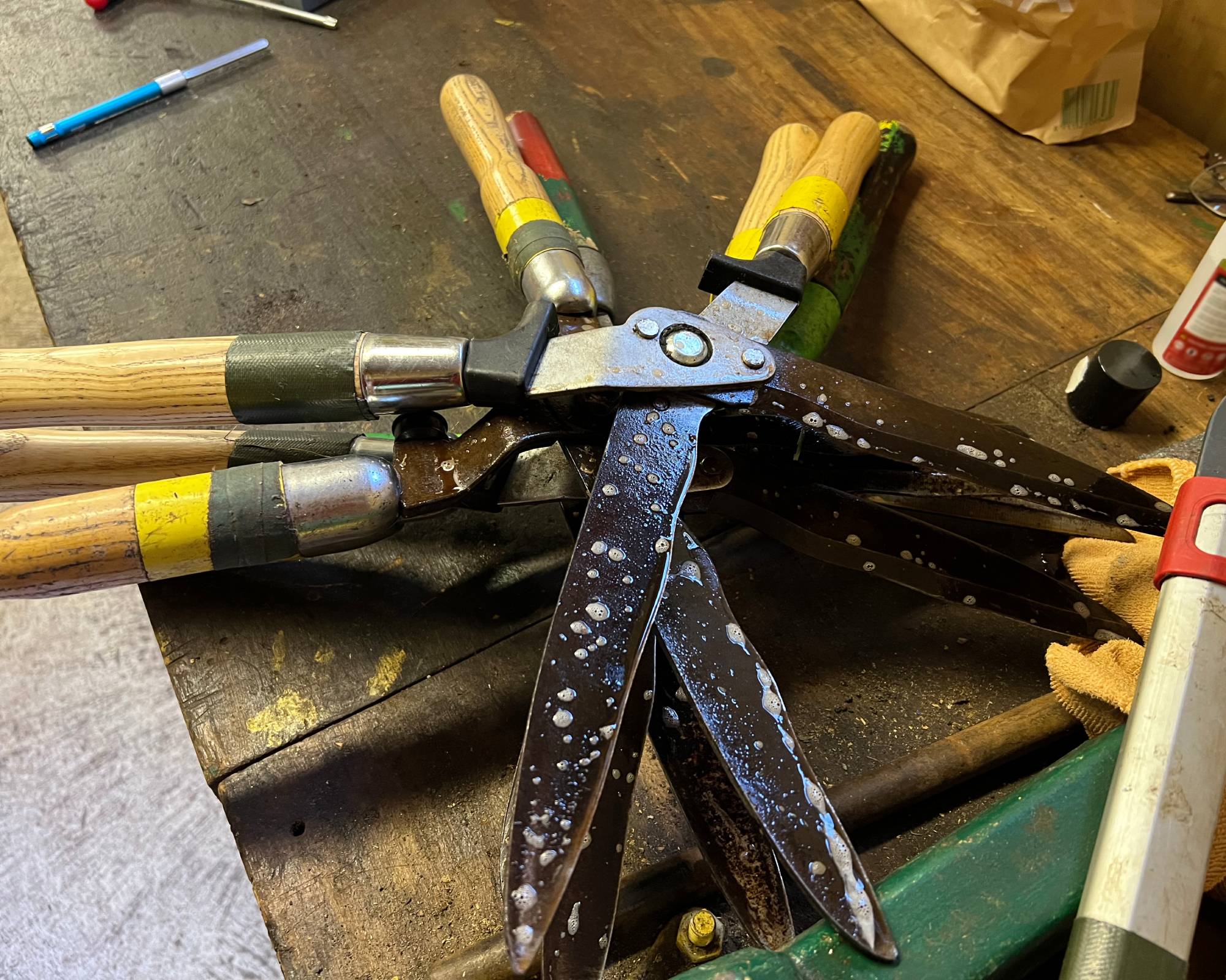 Cleaning rust off hedge clippers