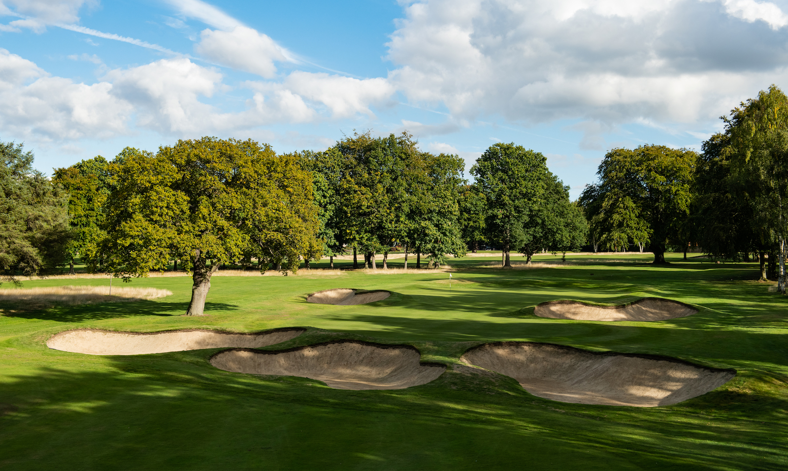 The attractive bunkering short of the 16th green