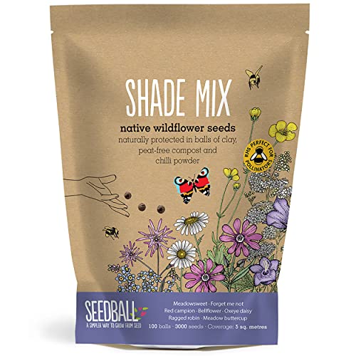Seedball Shade Mix Wildflower Seed Bombs - 100 Seed Balls Per Pack | Bee Friendly Clay Balls With Native British Seeds for Shady Gardens, Pots &amp;amp; Balconies for Autumn &amp;amp; Spring - Easy No-Dig Planting