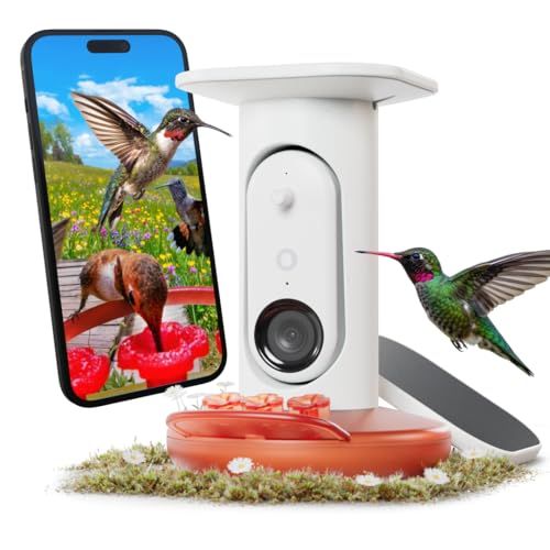 Birdbuddy Smart Solar Pro Hummingbird Feeder With Camera 