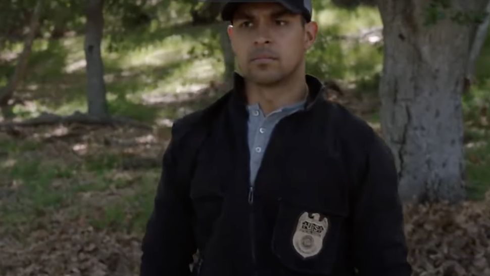 How to watch NCIS season 20 stream allnew episodes online from