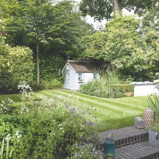 Large green lawn with lawn stripes, surrounded by plants and trees and a shed in the top right corner