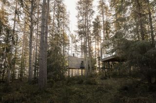 trakt forest hotel cabins on stilts in woods