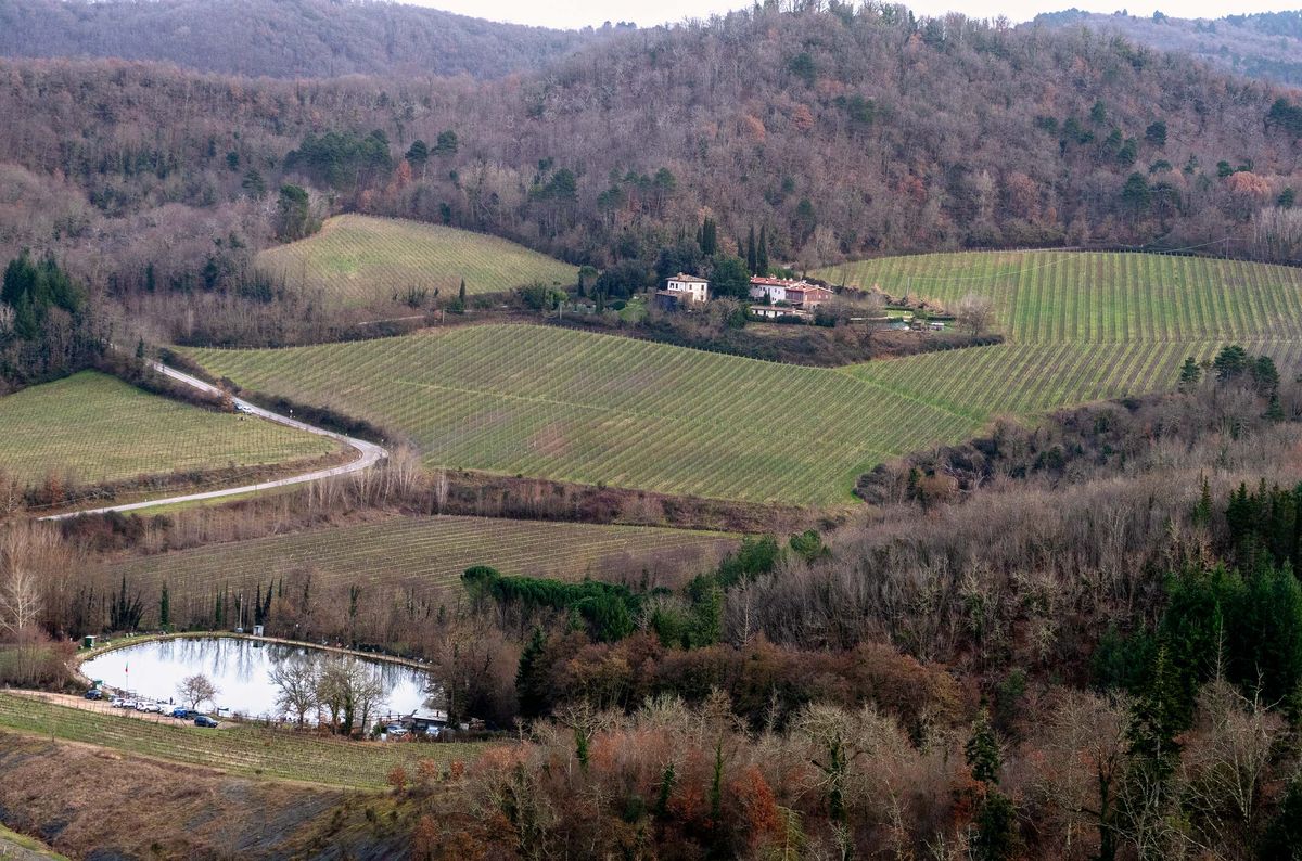 Chianti Classico: The enduring appeal and resilience of Riserva