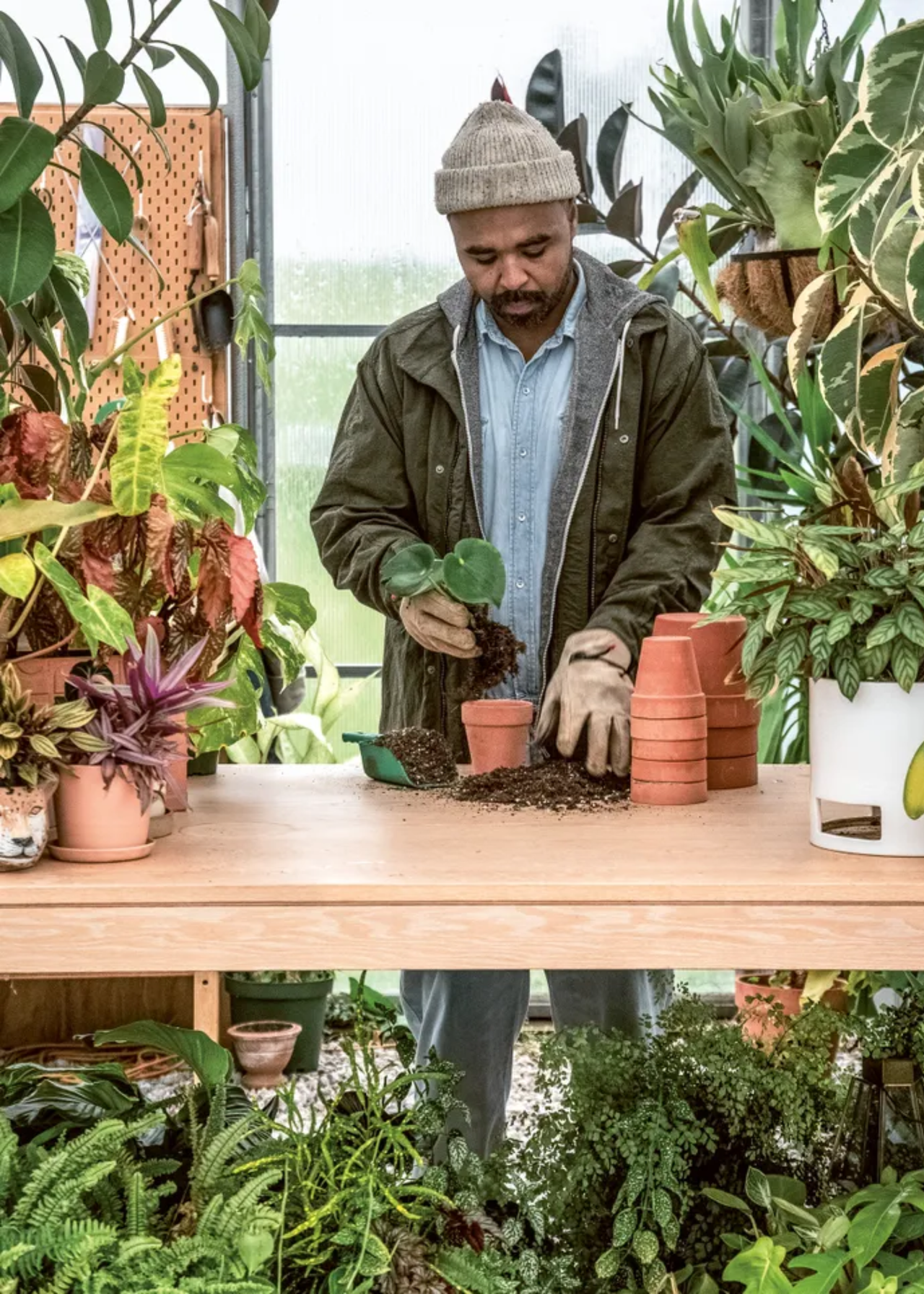 Hilton Carter depotting a mini potted plant