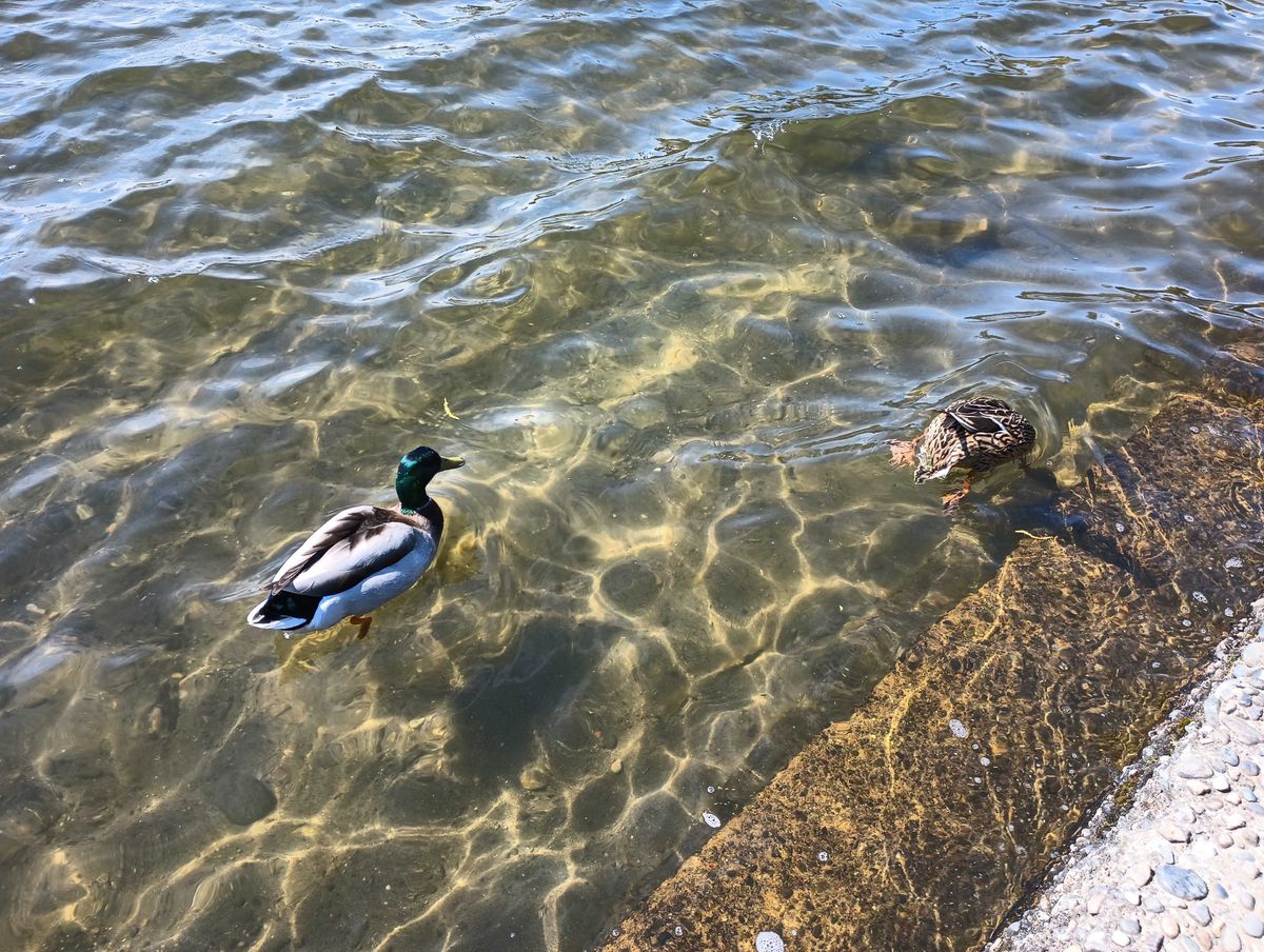 Moto G 5G (2022) camera sample