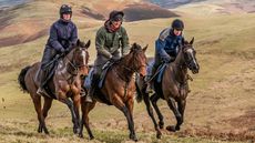 Hillwork for horses Thoroughbred racehorses working on their fitness regimes.