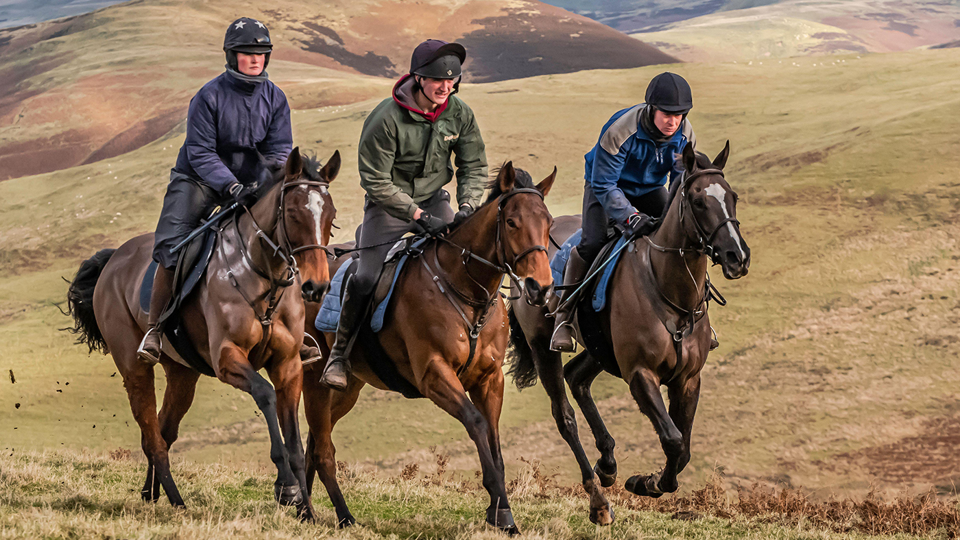 Hillwork for horses Thoroughbred racehorses working on their fitness regimes.