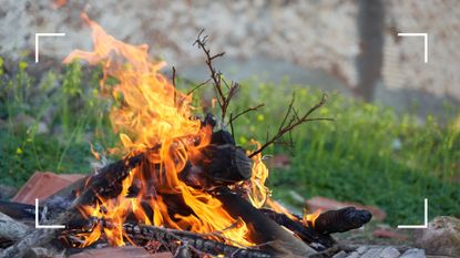 picture of bonfire in garden