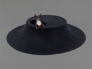 Black round doghouse designed by architect asif khan