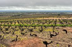 Moulin-&agrave;-Vent