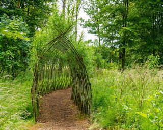 living willow arch over path