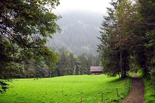 Scenic farms along the route