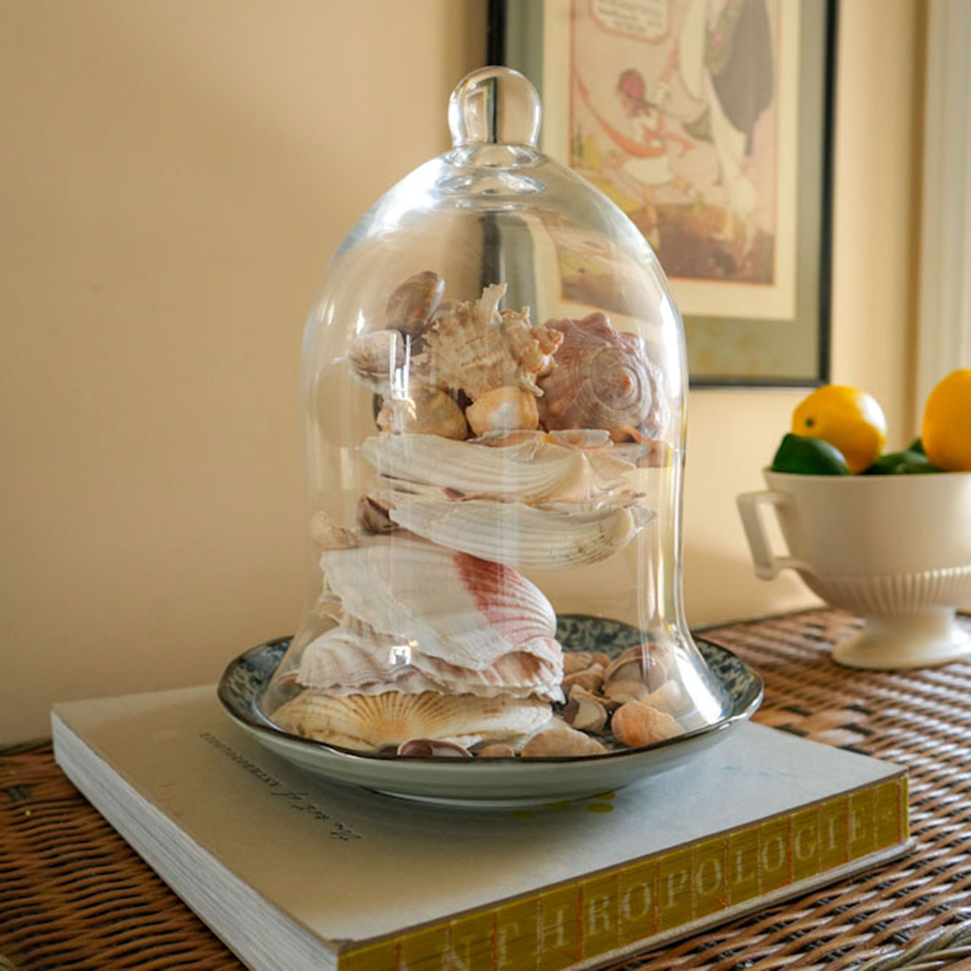 Glass cloche filled with seashells, on top of book