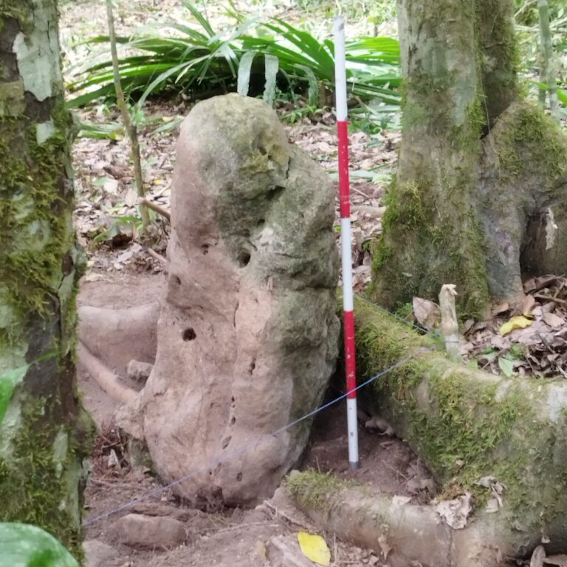 a weathered stone sculpture in the forest