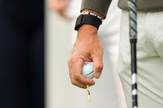 Rory McIlroy holds his tee and golf ball