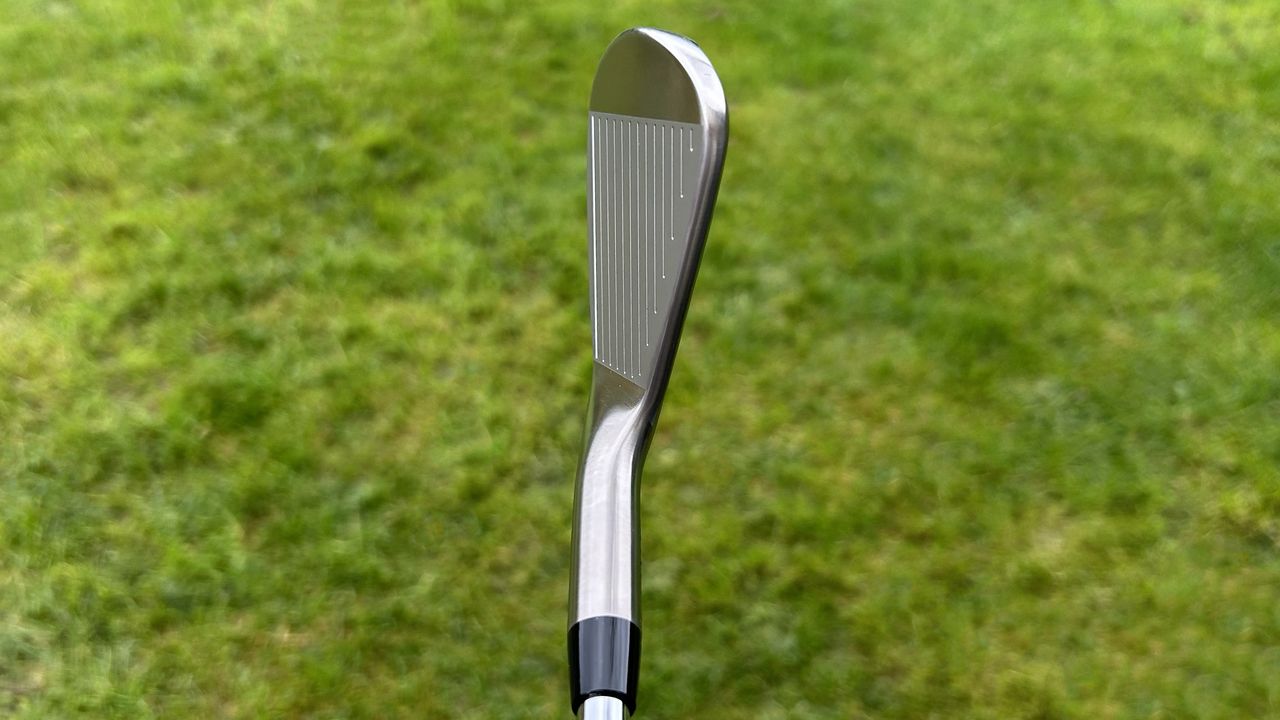 Photo of the Takomo 201T MKII Iron