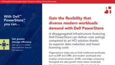 Gain the Flexibility that Diverse Modern Workloads Demand with Dell PowerStore