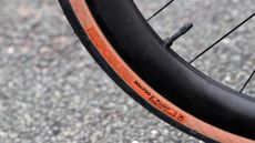 Close up of a WTB Exposure road tyre with tan sidewalls