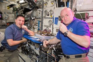 NASA astronauts Kjell Lindgren (left) and Scott Kelly sample lettuce grown earlier with the Veg-01 experiment.