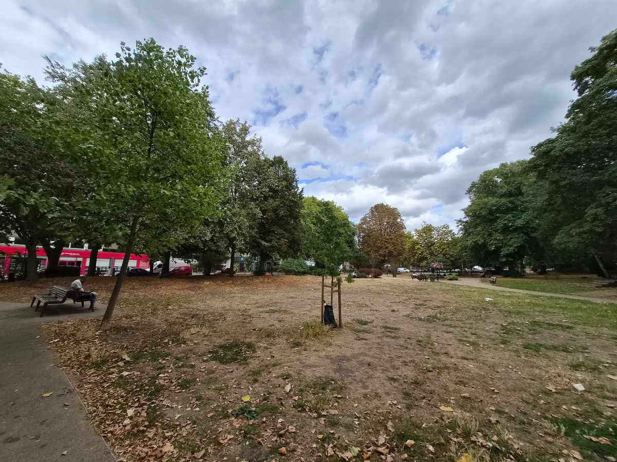 Samsung Galaxy S26 FE photo sample ultrawide