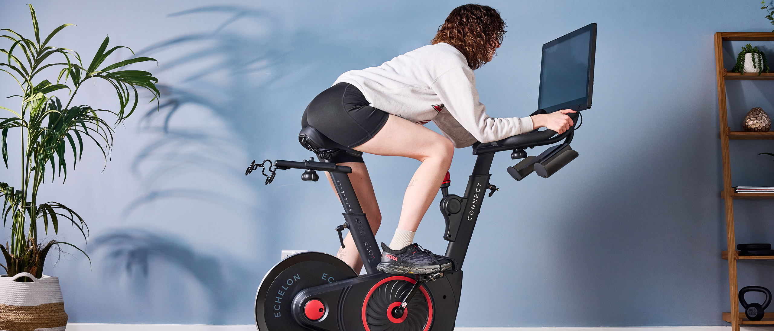 echleon ex-5s photographed in front of a blue background